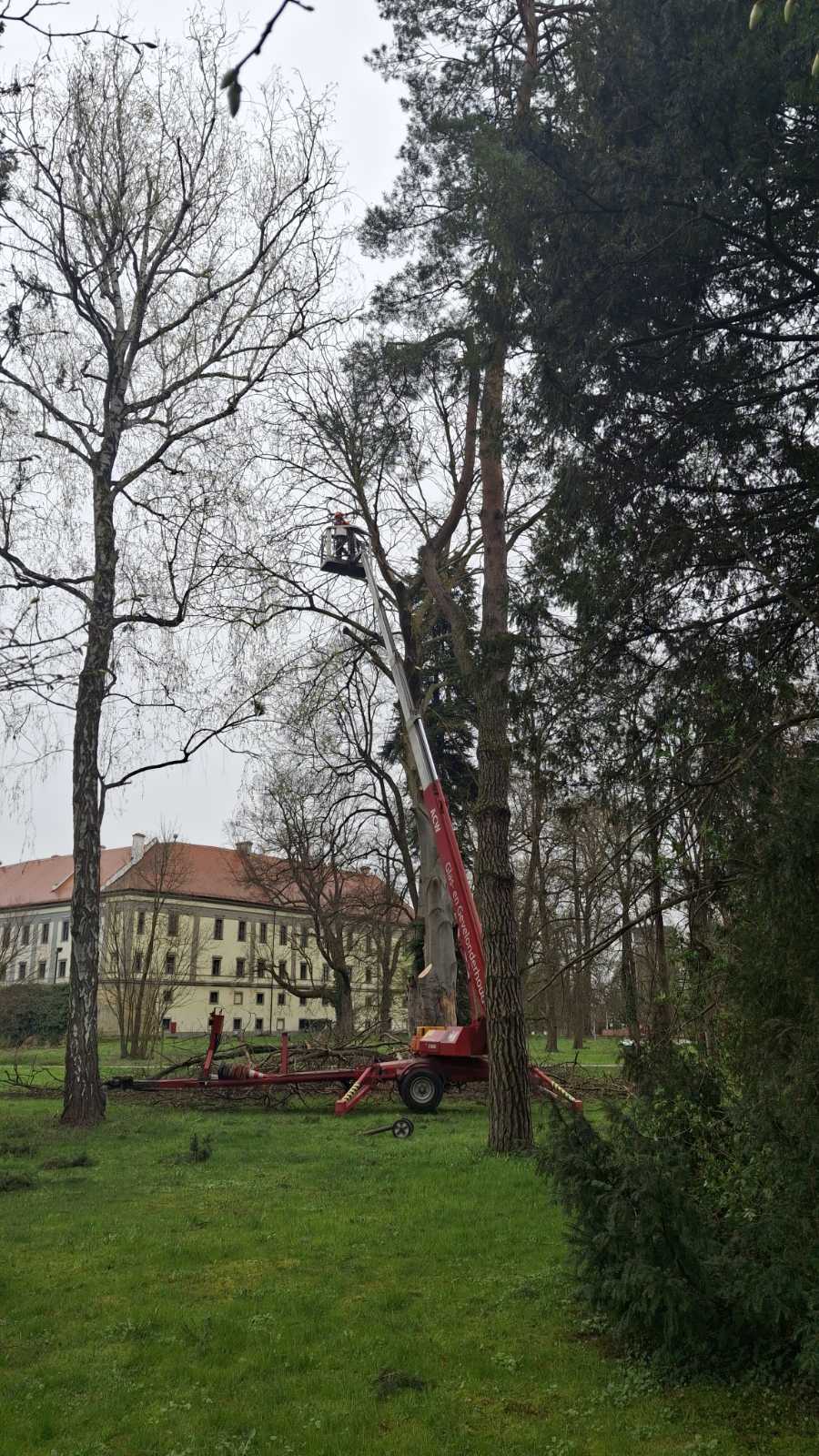 Perivoj zrinskih nevrijeme srušeno stablo (3) Perivoj zrinskih nevrijeme srušeno stablo (3)