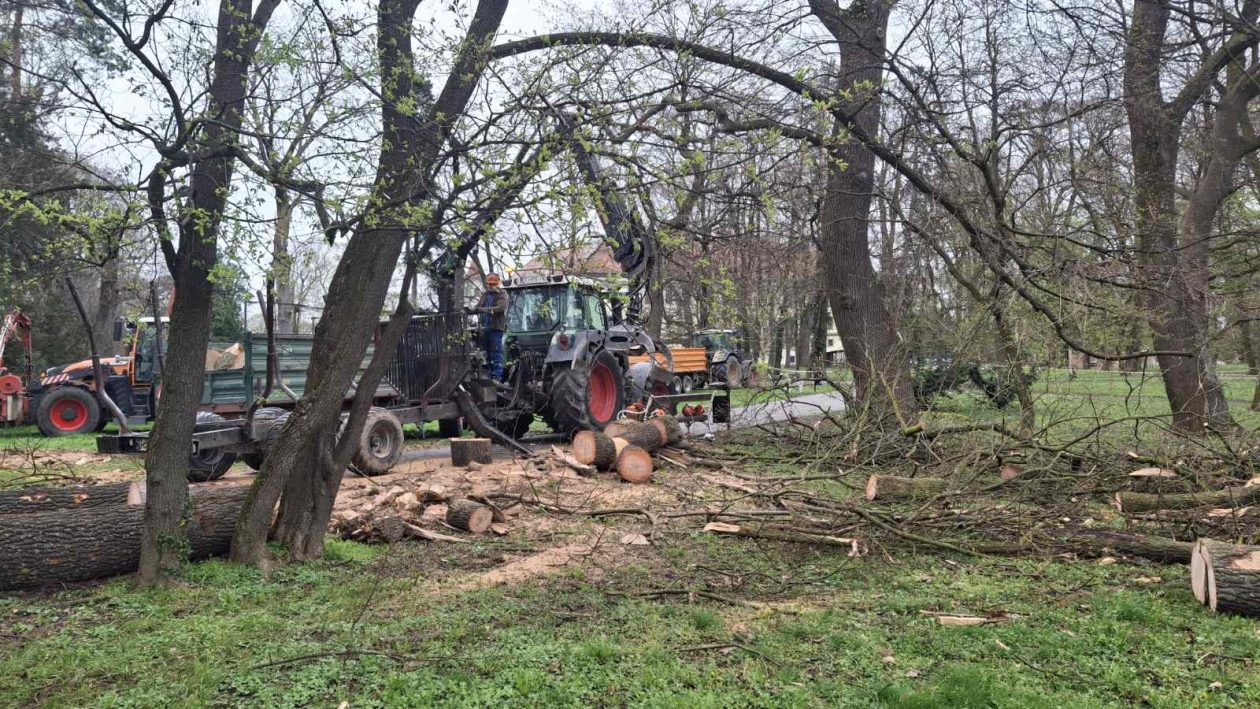 Perivoj zrinskih nevrijeme srušeno stablo (4) Perivoj zrinskih nevrijeme srušeno stablo (4)