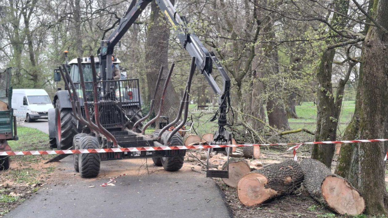 Perivoj zrinskih nevrijeme srušeno stablo (9) Perivoj zrinskih nevrijeme srušeno stablo (9)