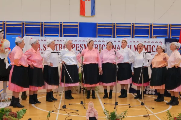 Pesmarica naših mamica (45)