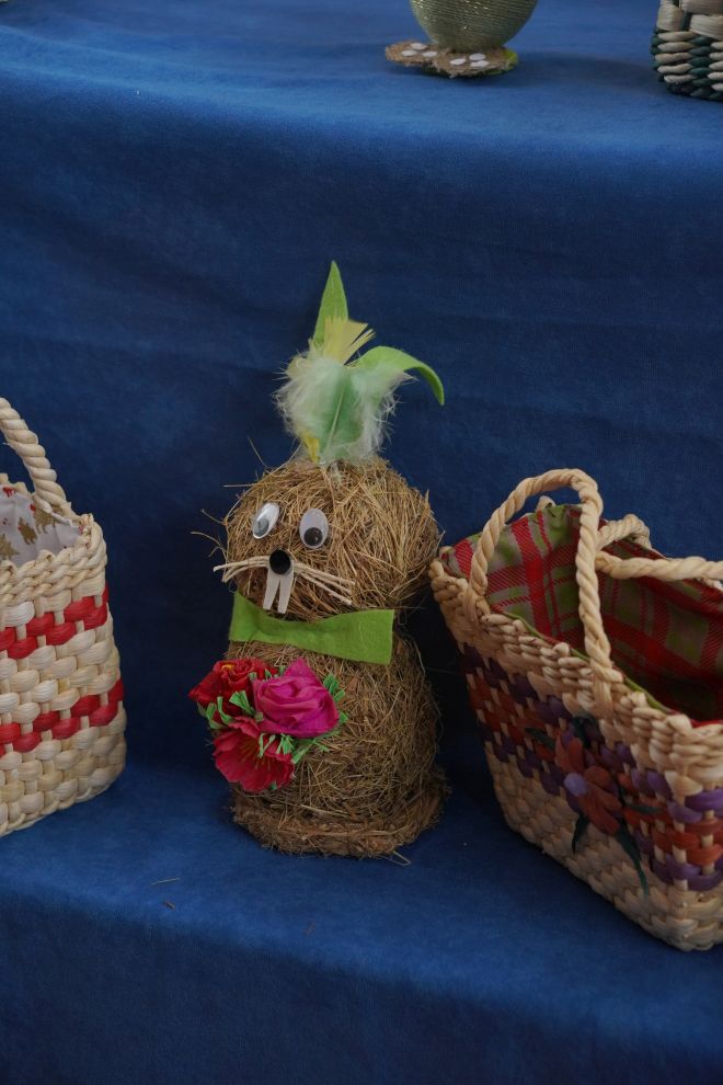 Peti festival cekara Nedelišće 2026 OŠ Nedelišće (19)