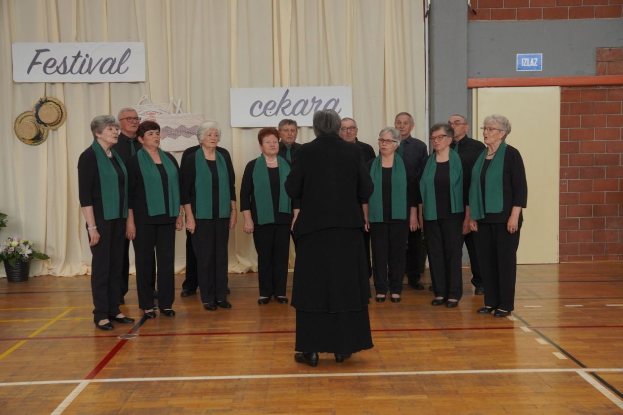 Peti festival cekara Nedelišće 2026 OŠ Nedelišće (22)