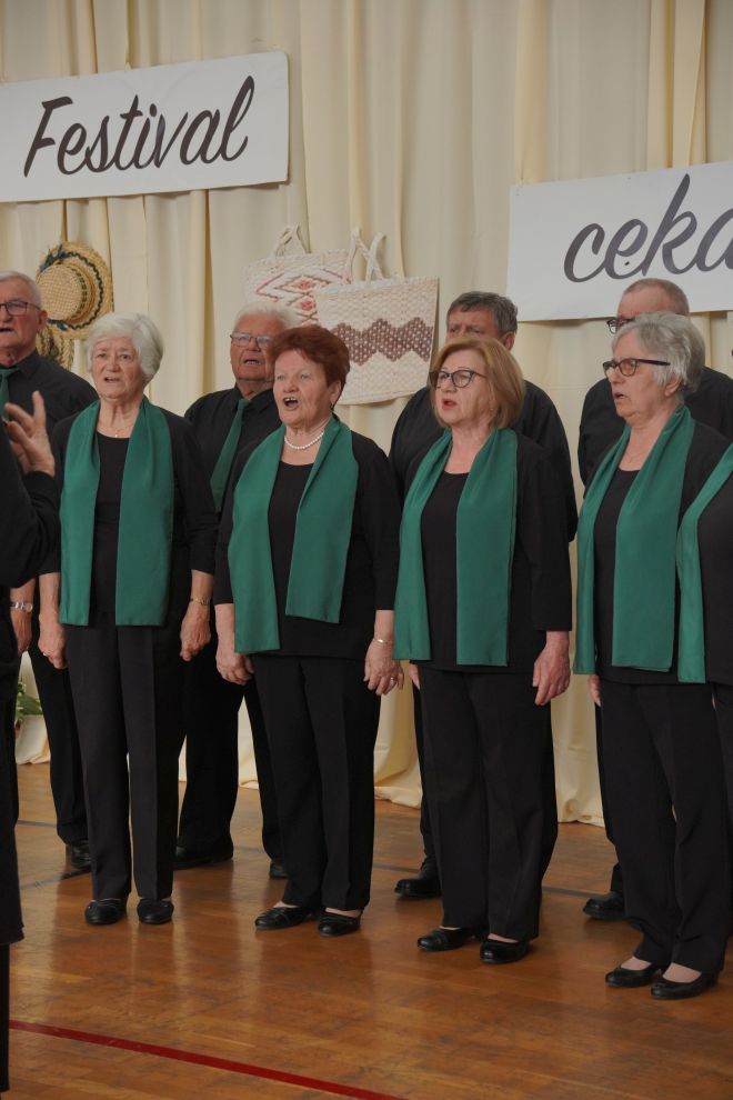 Peti festival cekara Nedelišće 2026 OŠ Nedelišće (26)