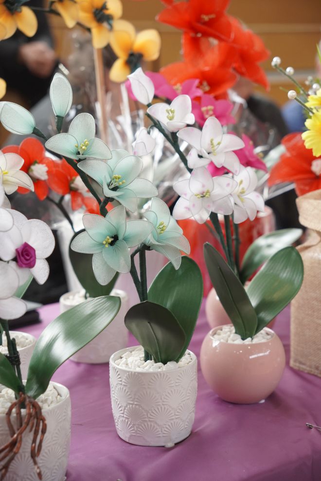 Peti festival cekara Nedelišće 2026 OŠ Nedelišće (40)