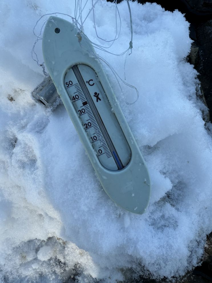 Petra Seličanec (10)