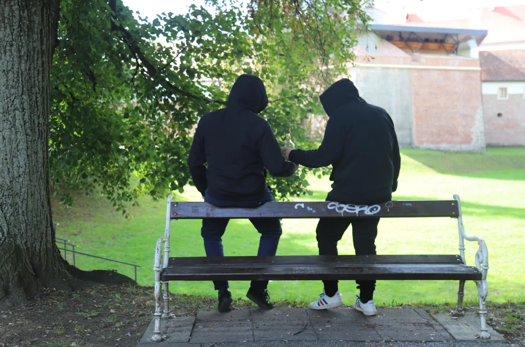 Pijanstvo, alkohol, čakovečki park, ilustracija (5) Pijanstvo, alkohol, čakovečki park, ilustracija (5)