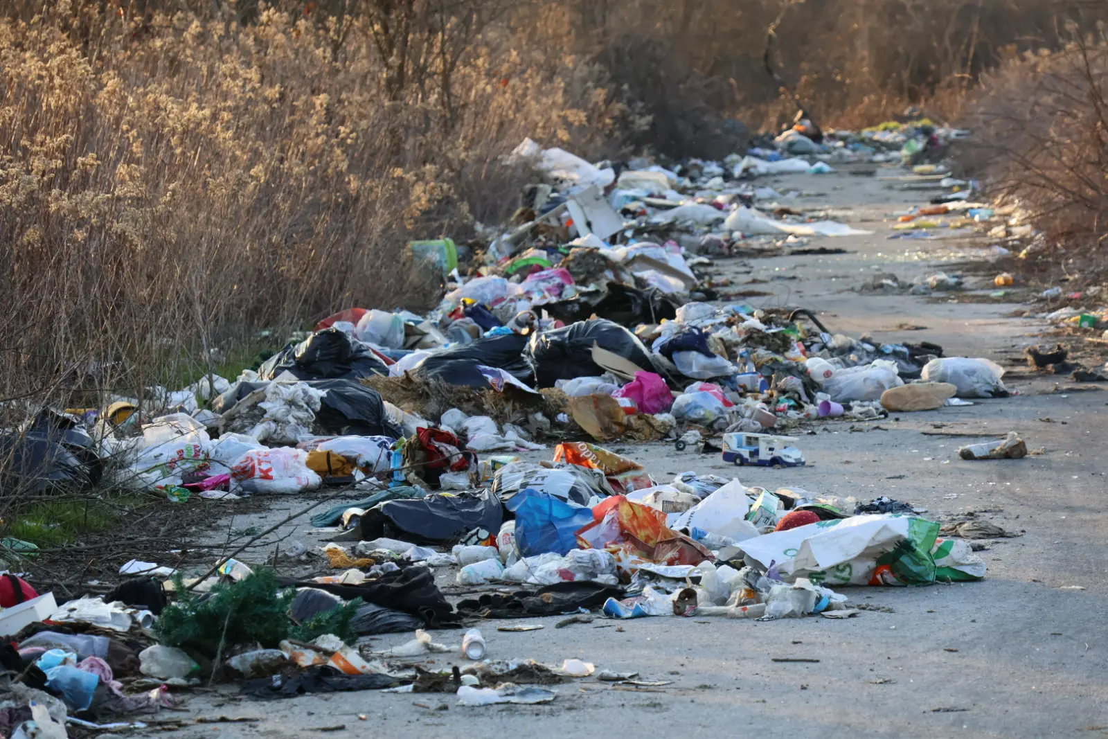 Piškorovec romsko naselje (26)