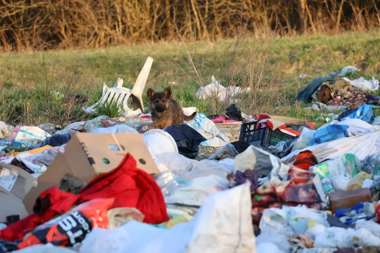 Piškorovec romsko naselje (30)