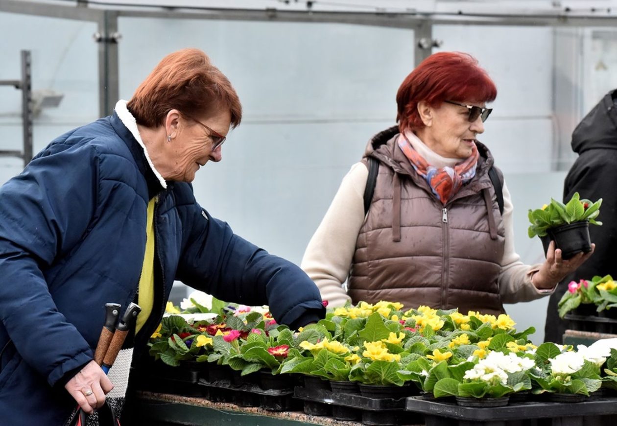 Plac Varaždin 2026 (19)