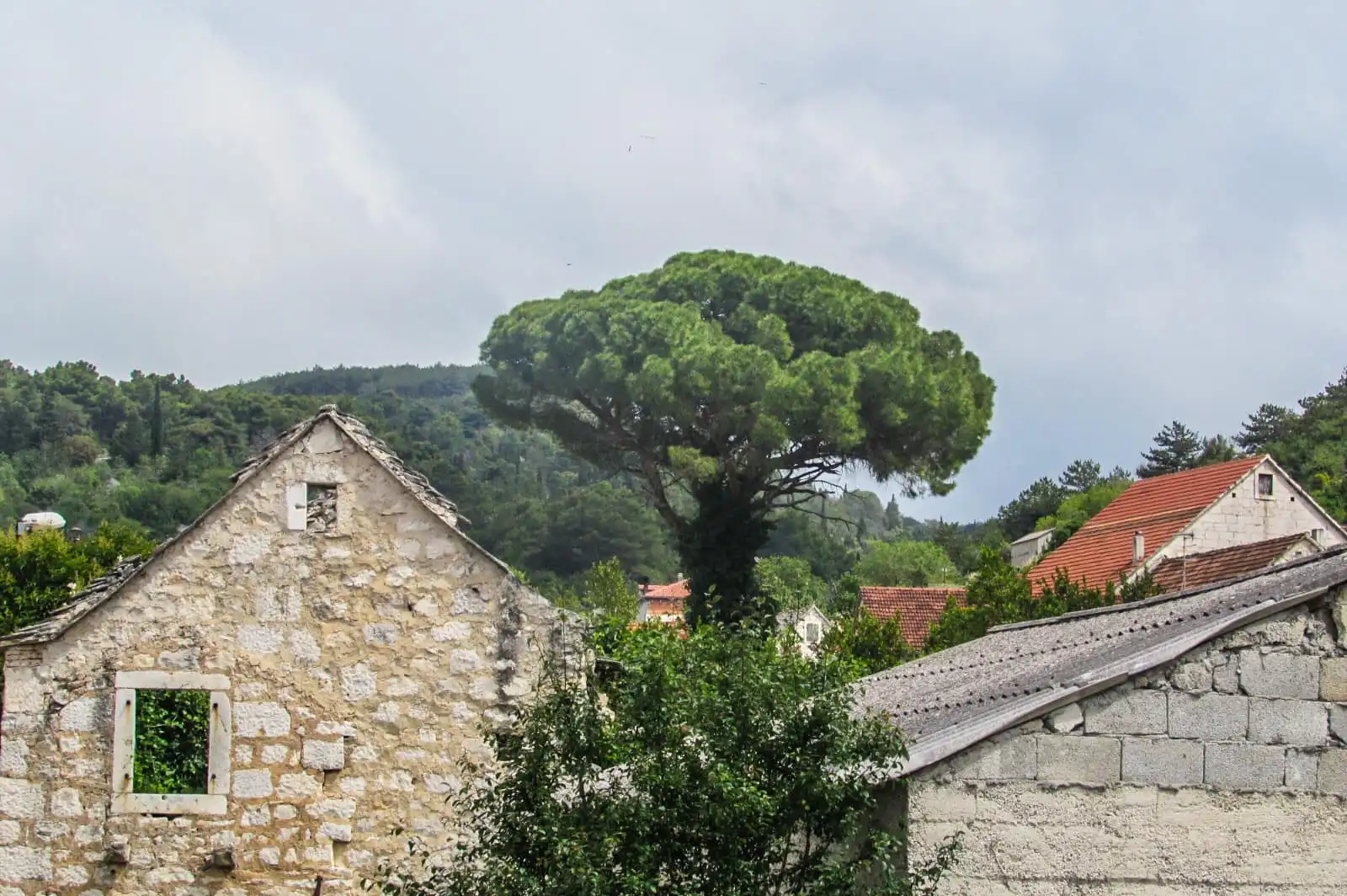 Planinarsko Društvo Bundek na Braču (17)