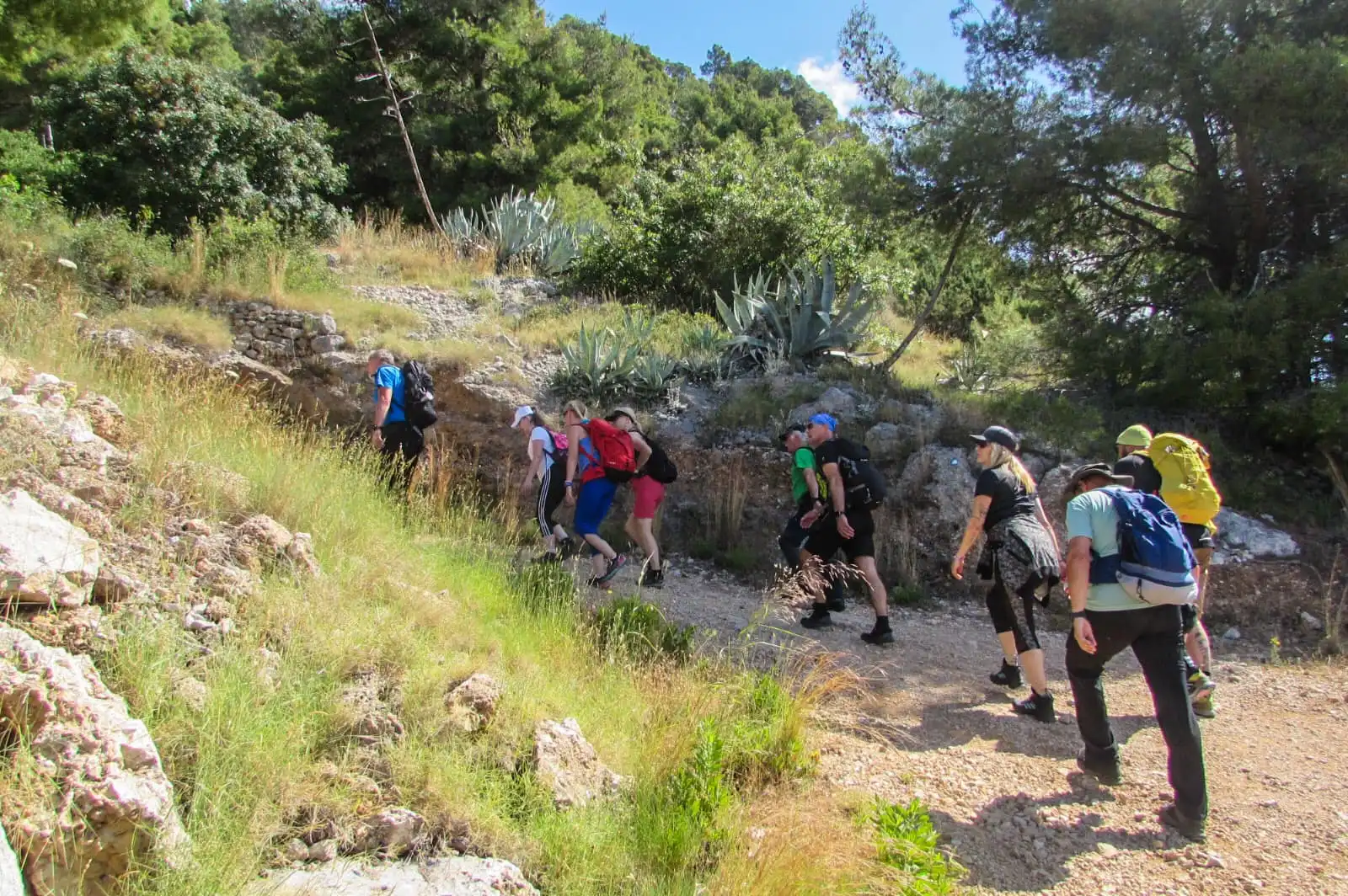 Planinarsko Društvo Bundek na Braču (18)