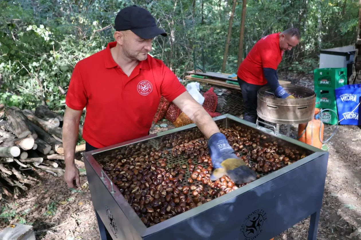 Plešivica, Kestenijada, Davor Bestijanić, Nikola Škvorc, kesteni (5) Plešivica, Kestenijada, Davor Bestijanić, Nikola Škvorc, kesteni (5)