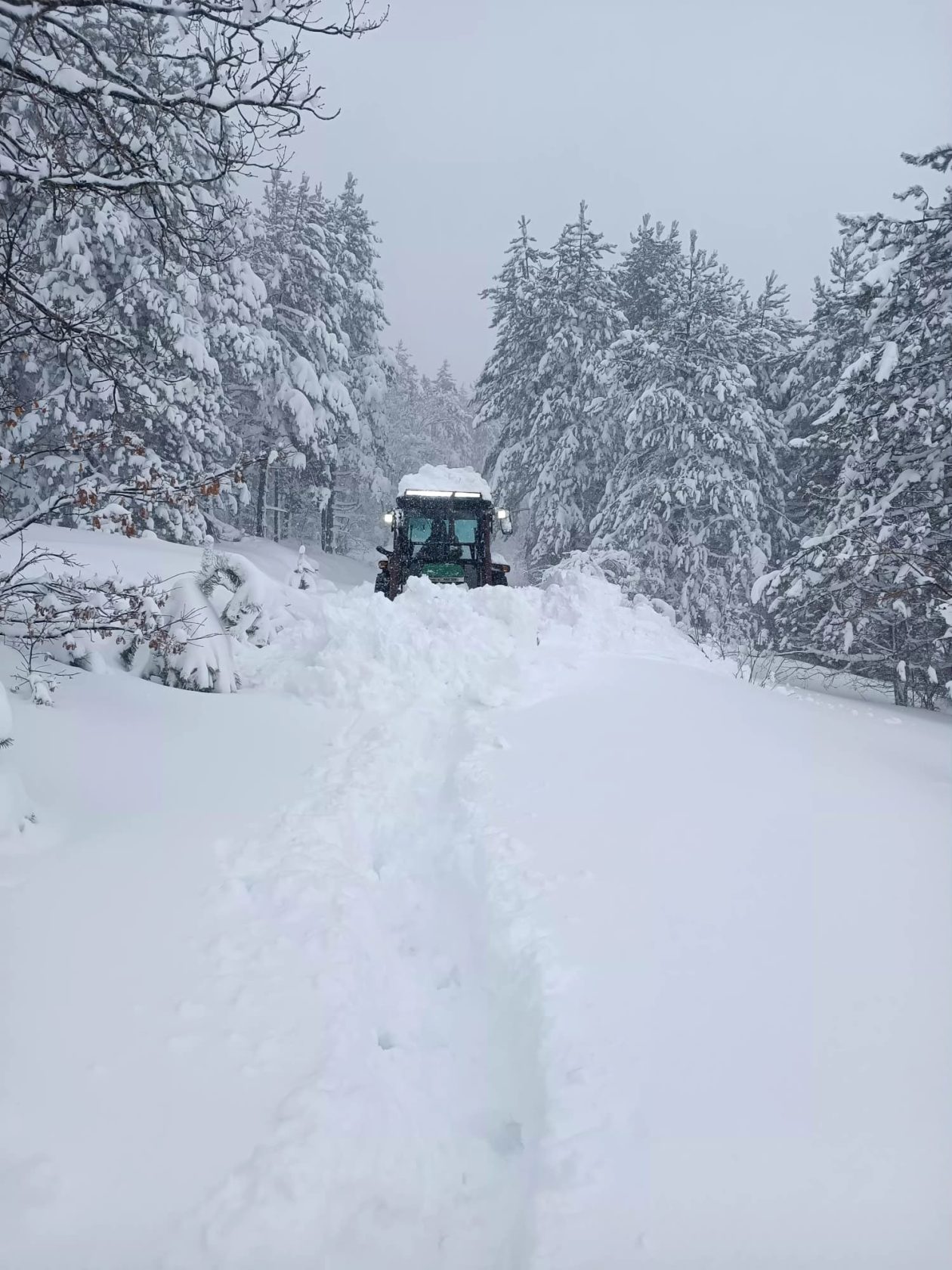 Plitvice spašavanje obitelji (5)