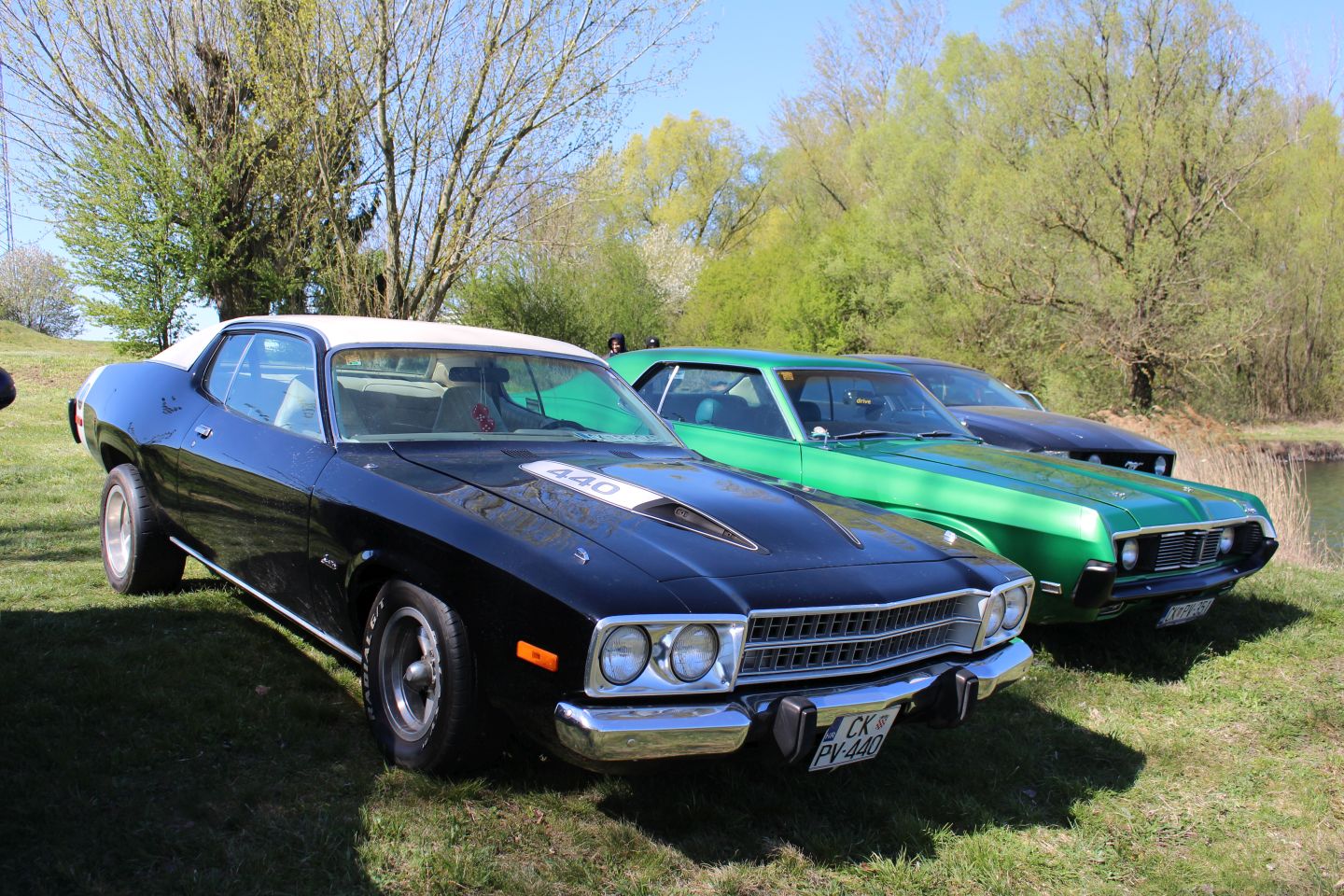 Podbrest car show 2025 (17)