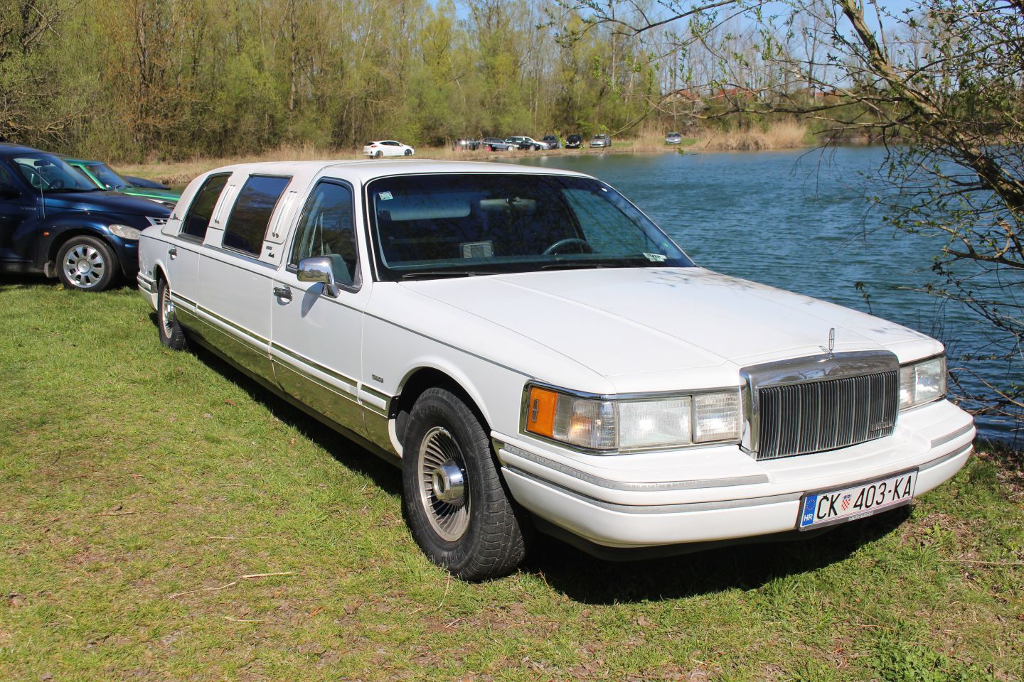 Podbrest car show 2025 (2)