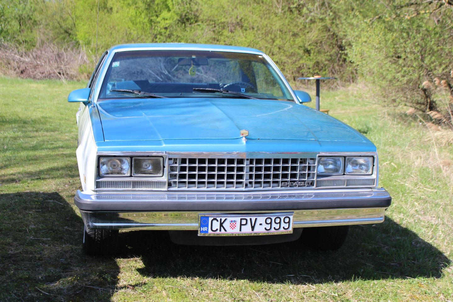 Podbrest car show 2025 (20)