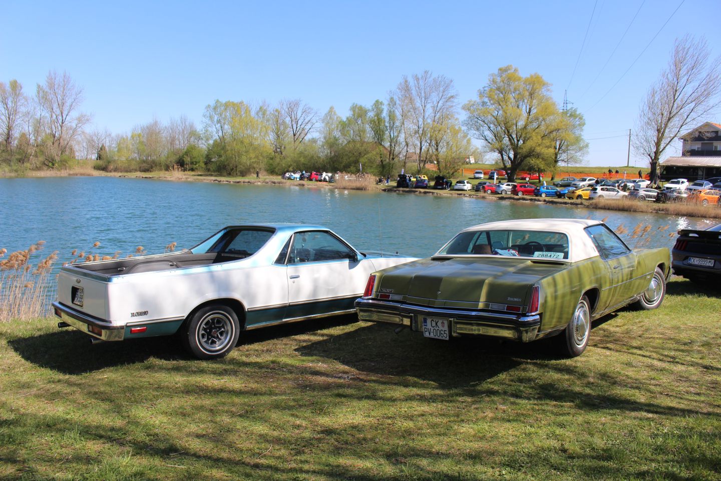 Podbrest car show 2025 (21)