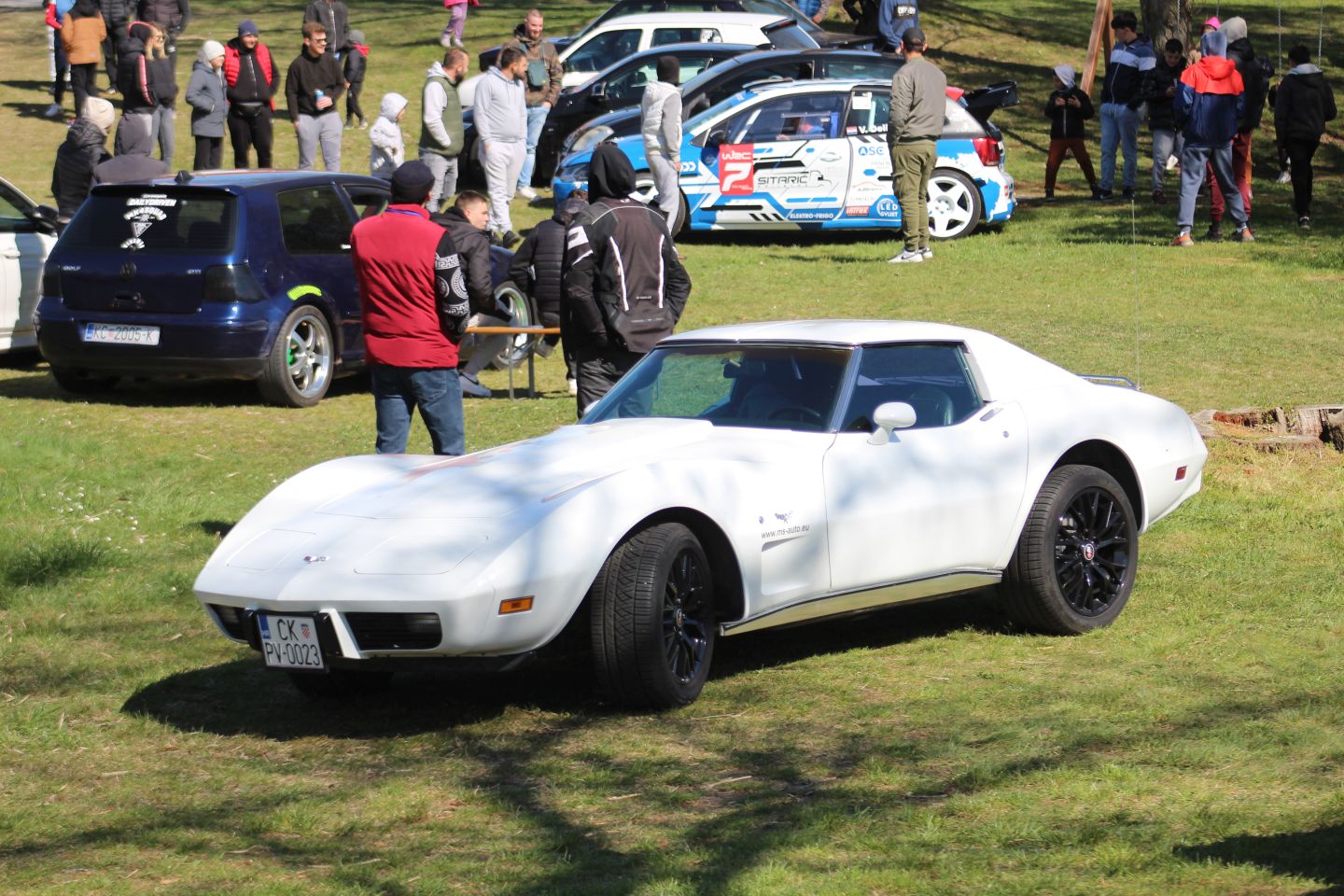 Podbrest car show 2025 (25)