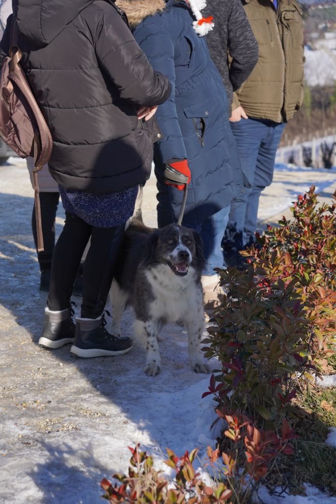 Podnevni doček Mađerkin breg (10)