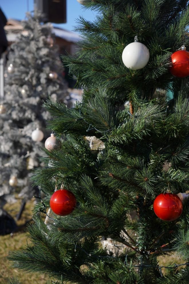 Podnevni doček Mađerkin breg (2)