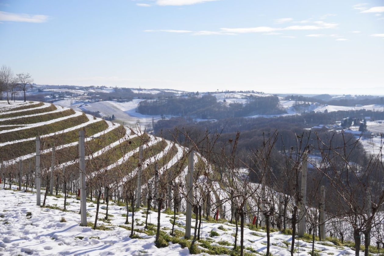 Podnevni doček Mađerkin breg (3)