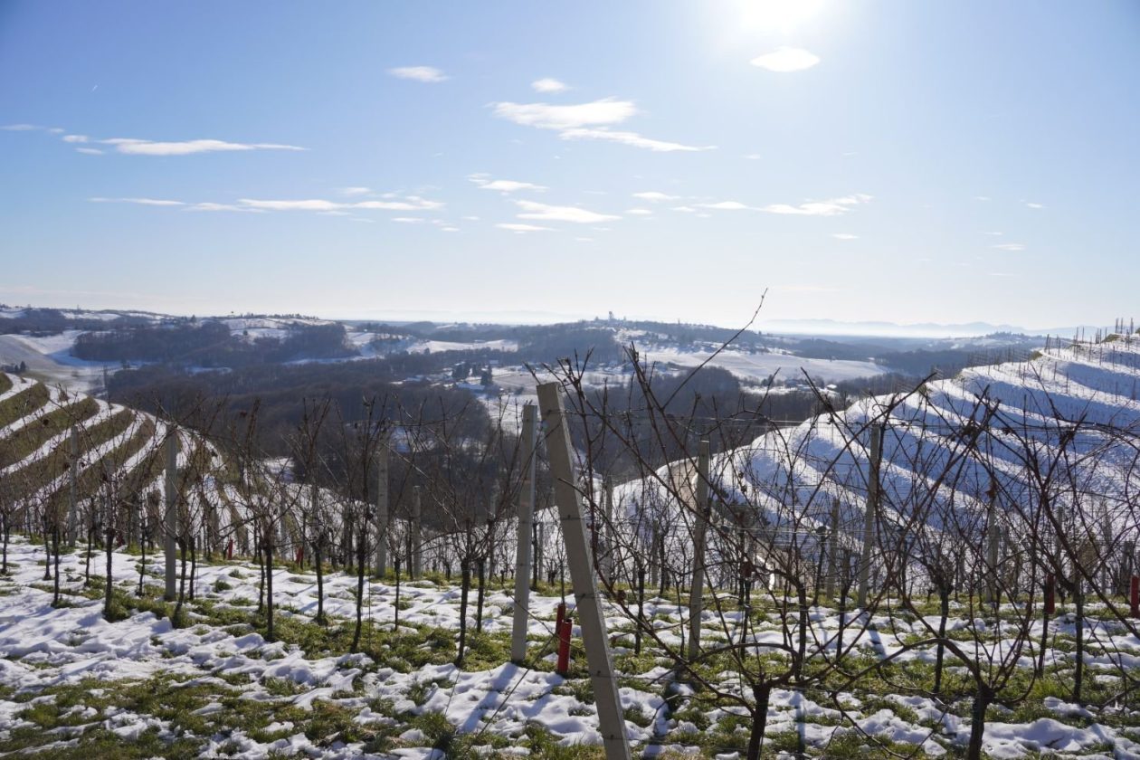 Podnevni doček Mađerkin breg (4)