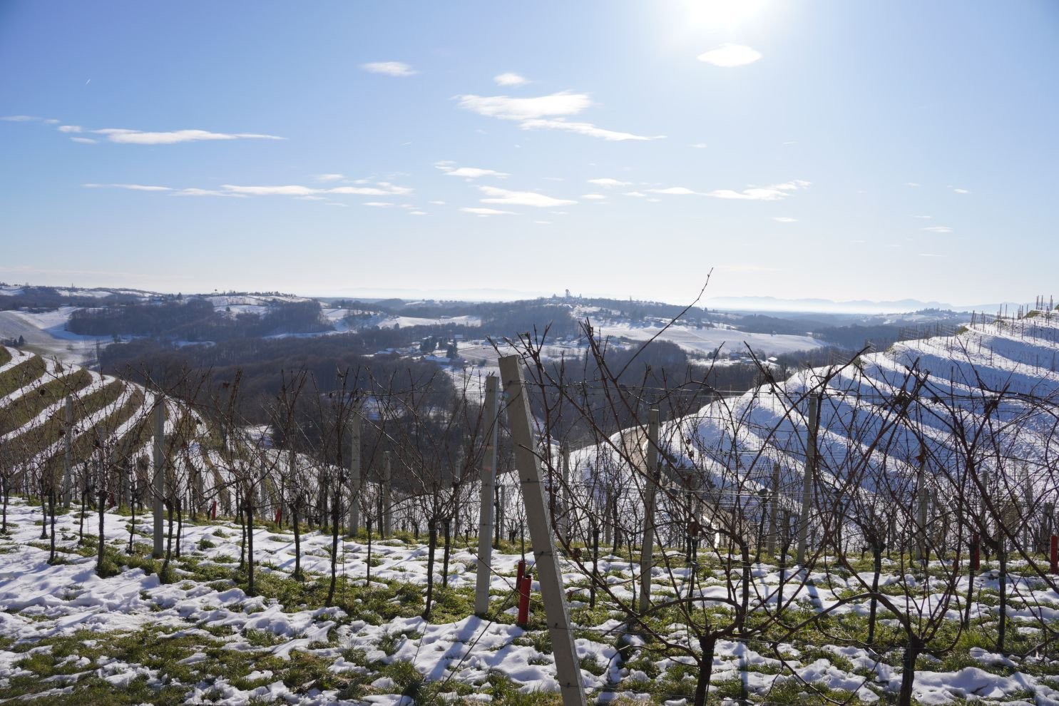 Podnevni doček Mađerkin breg (4)