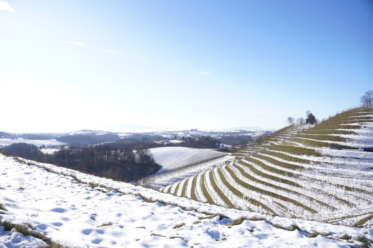 Podnevni doček Mađerkin breg (41)