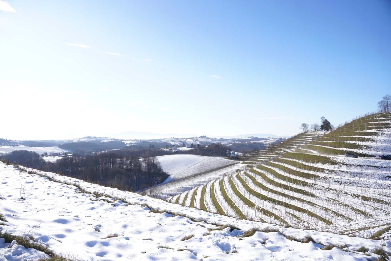 Podnevni doček Mađerkin breg (41)
