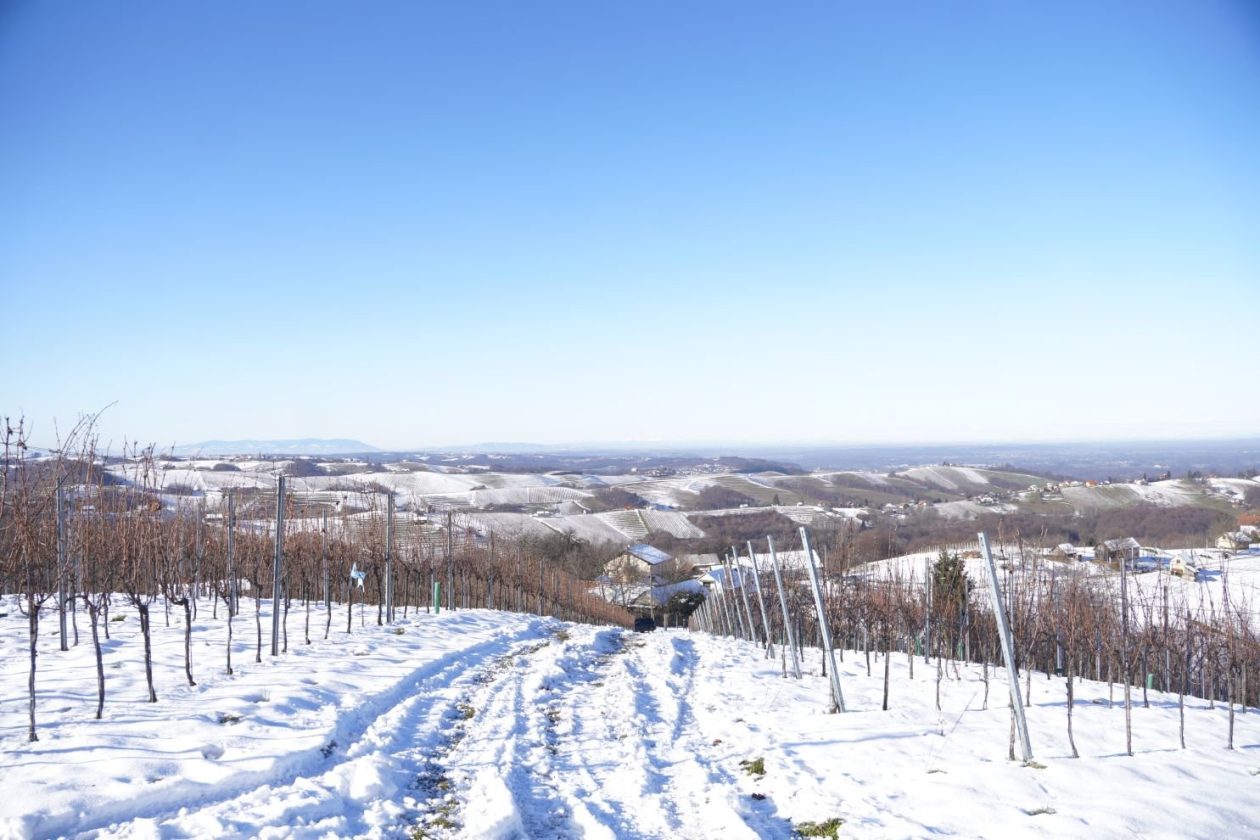 Podnevni doček Mađerkin breg (49)