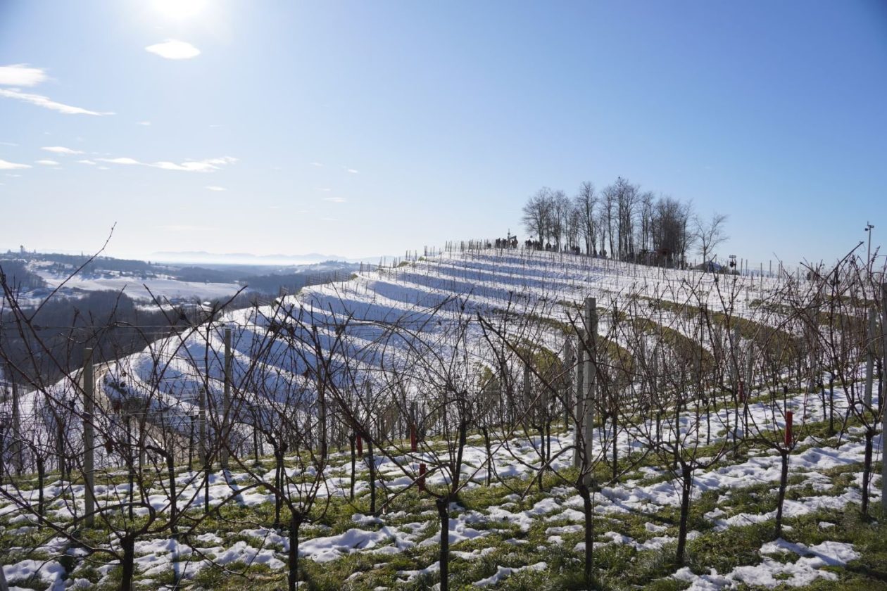 Podnevni doček Mađerkin breg (5)