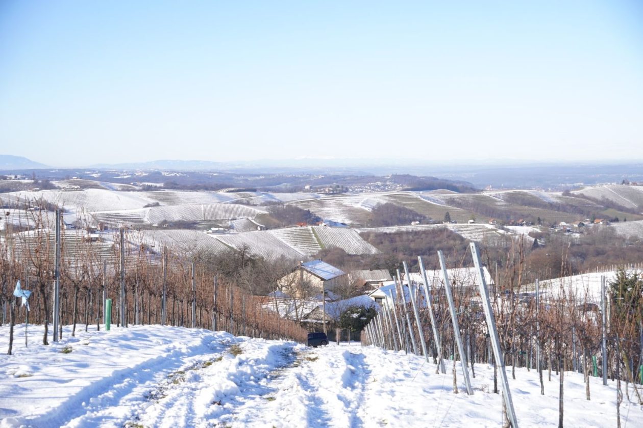 Podnevni doček Mađerkin breg (50)