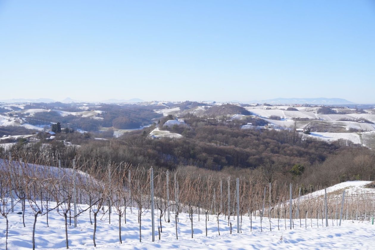 Podnevni doček Mađerkin breg (55)