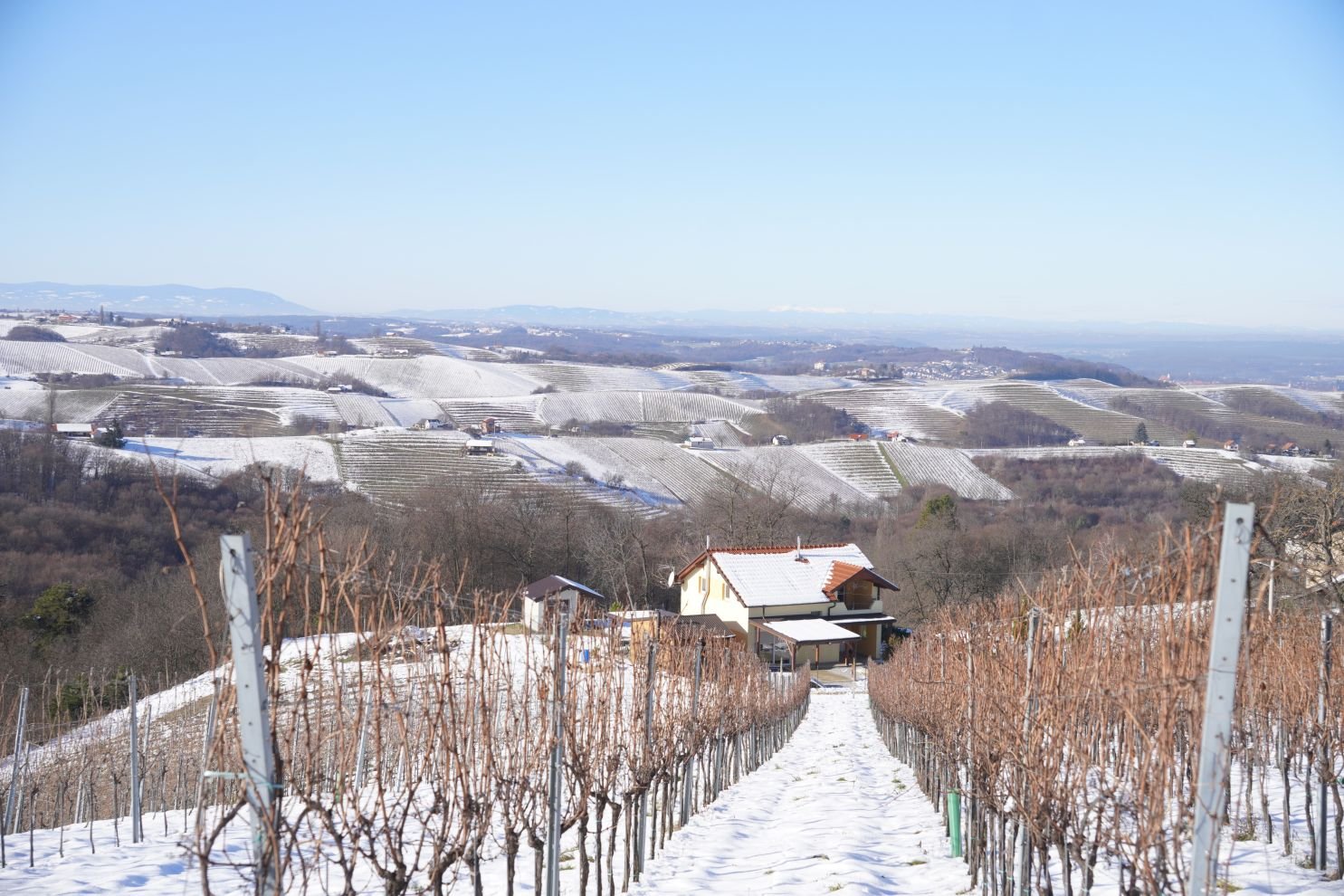 Podnevni doček Mađerkin breg (56)