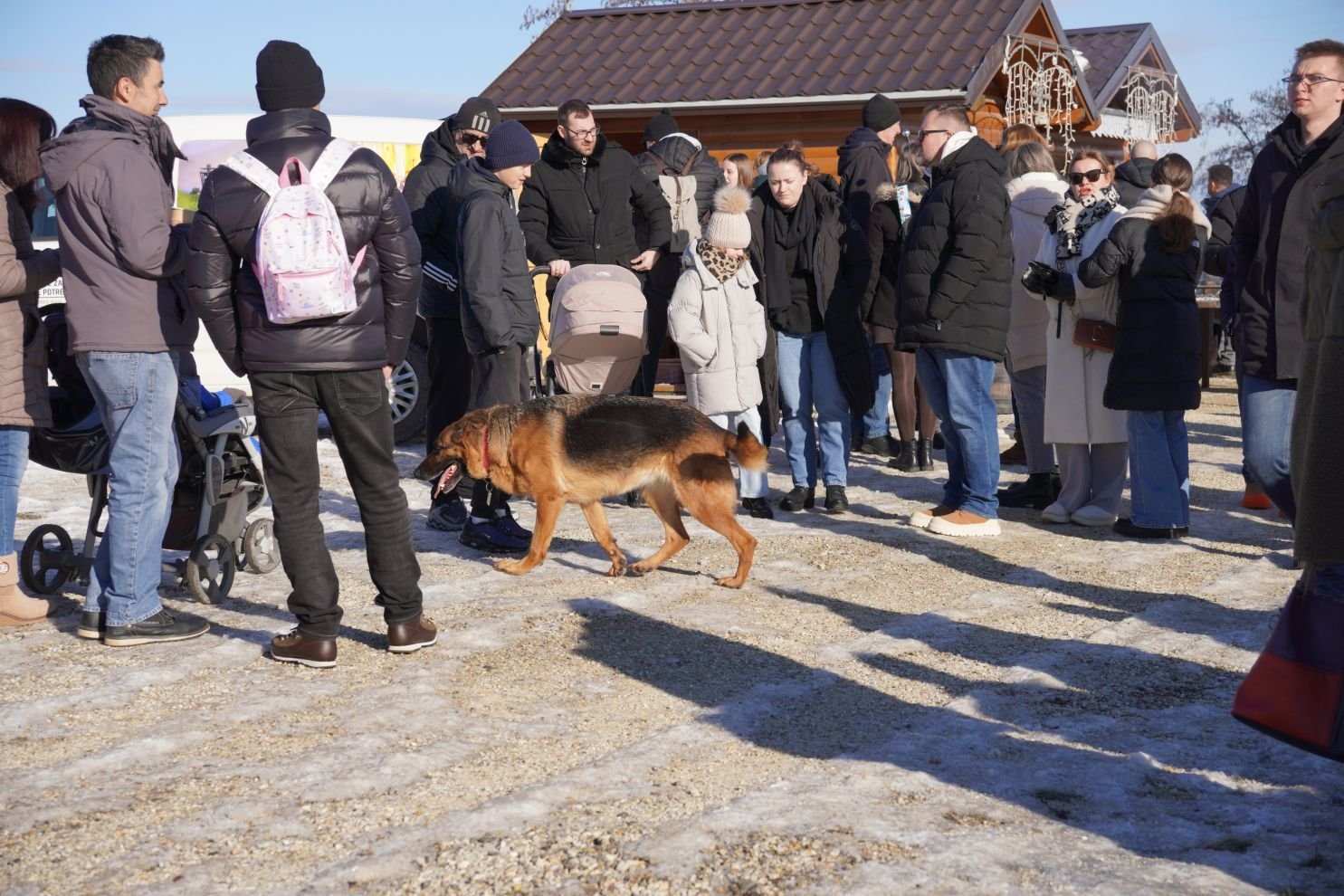Podnevni doček Mađerkin breg (69)