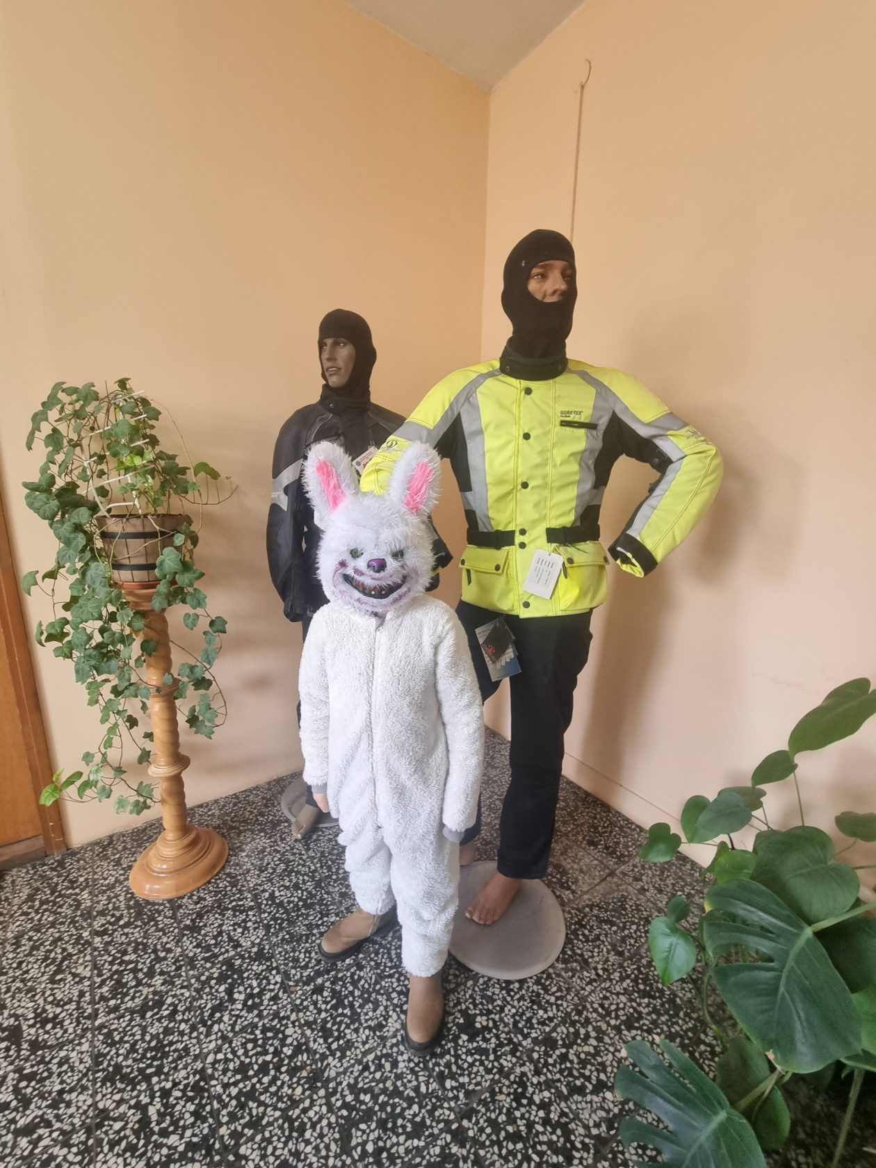 Područna škola Florijana Andrašeca Dekanovec – Dekanovec Fašnik (10) Područna škola Florijana Andrašeca Dekanovec – Dekanovec Fašnik (10)