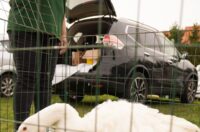 Pokazno-prodajna izložba malih životinja Nedelišće (1)