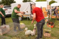 Pokazno-prodajna izložba malih životinja Nedelišće (3)