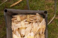 Pokazno-prodajna izložba malih životinja Nedelišće (6)