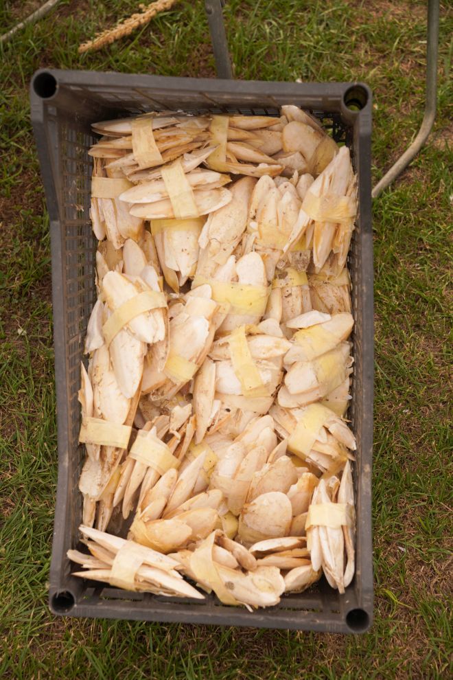 Pokazno-prodajna izložba malih životinja Nedelišće (6)