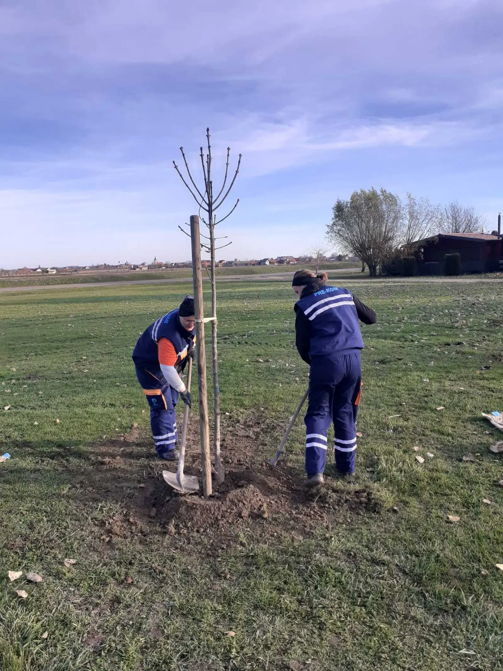 Posađeno 20 novih sadnica u sklopu projekta „Hrvatska prirodno tvoja“, PRELOG (1)