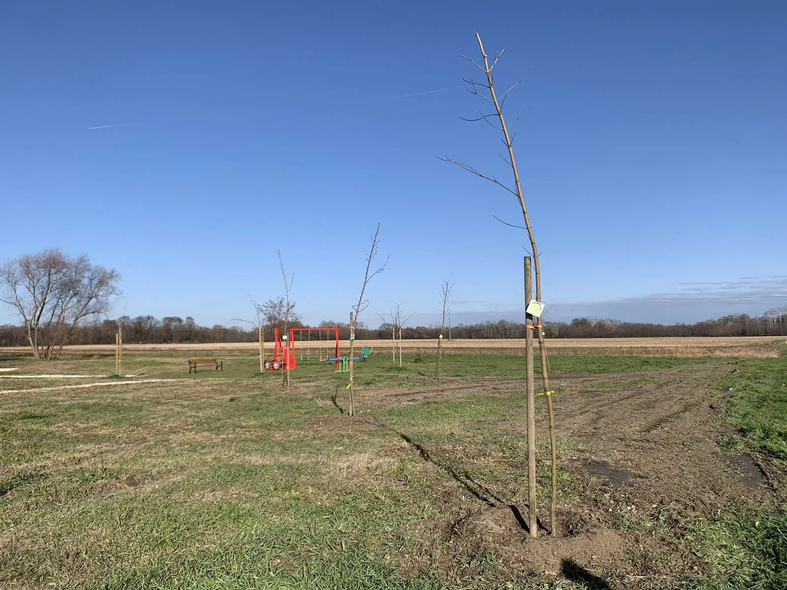 Posađeno 20 novih sadnica u sklopu projekta „Hrvatska prirodno tvoja“, PRELOG (13)