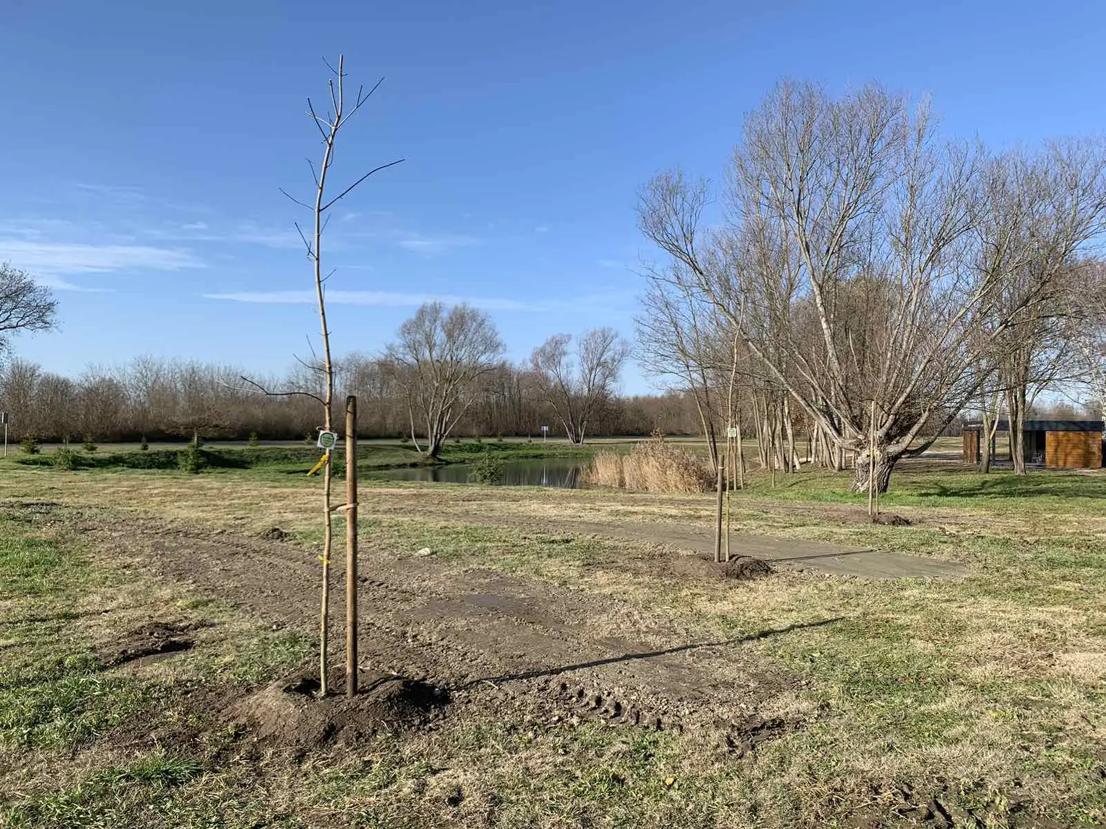 Posađeno 20 novih sadnica u sklopu projekta „Hrvatska prirodno tvoja“, PRELOG (14)