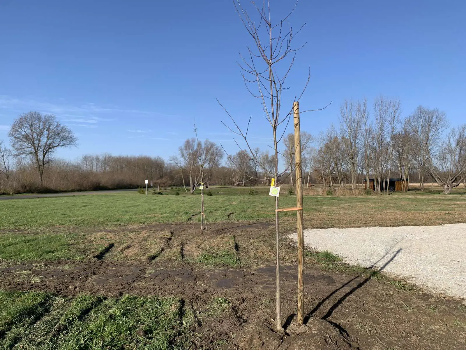 Posađeno 20 novih sadnica u sklopu projekta „Hrvatska prirodno tvoja“, PRELOG (16)