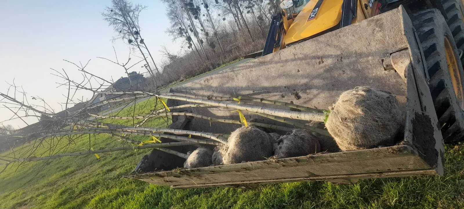 Posađeno 20 novih sadnica u sklopu projekta „Hrvatska prirodno tvoja“, PRELOG (21)