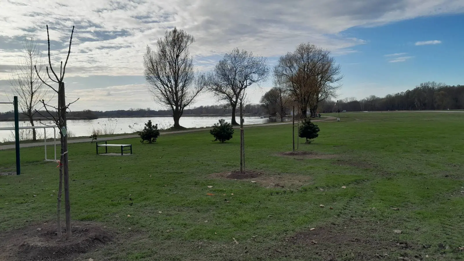 Posađeno 20 novih sadnica u sklopu projekta „Hrvatska prirodno tvoja“, PRELOG (4)