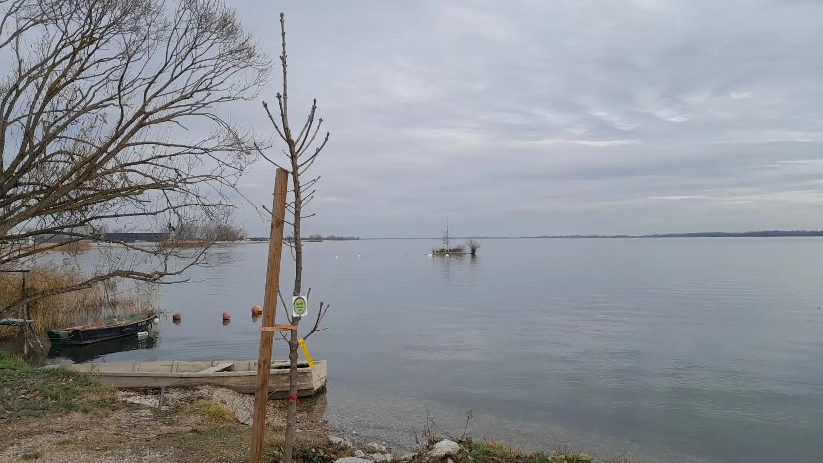 Posađeno 20 novih sadnica u sklopu projekta „Hrvatska prirodno tvoja“, PRELOG (8)