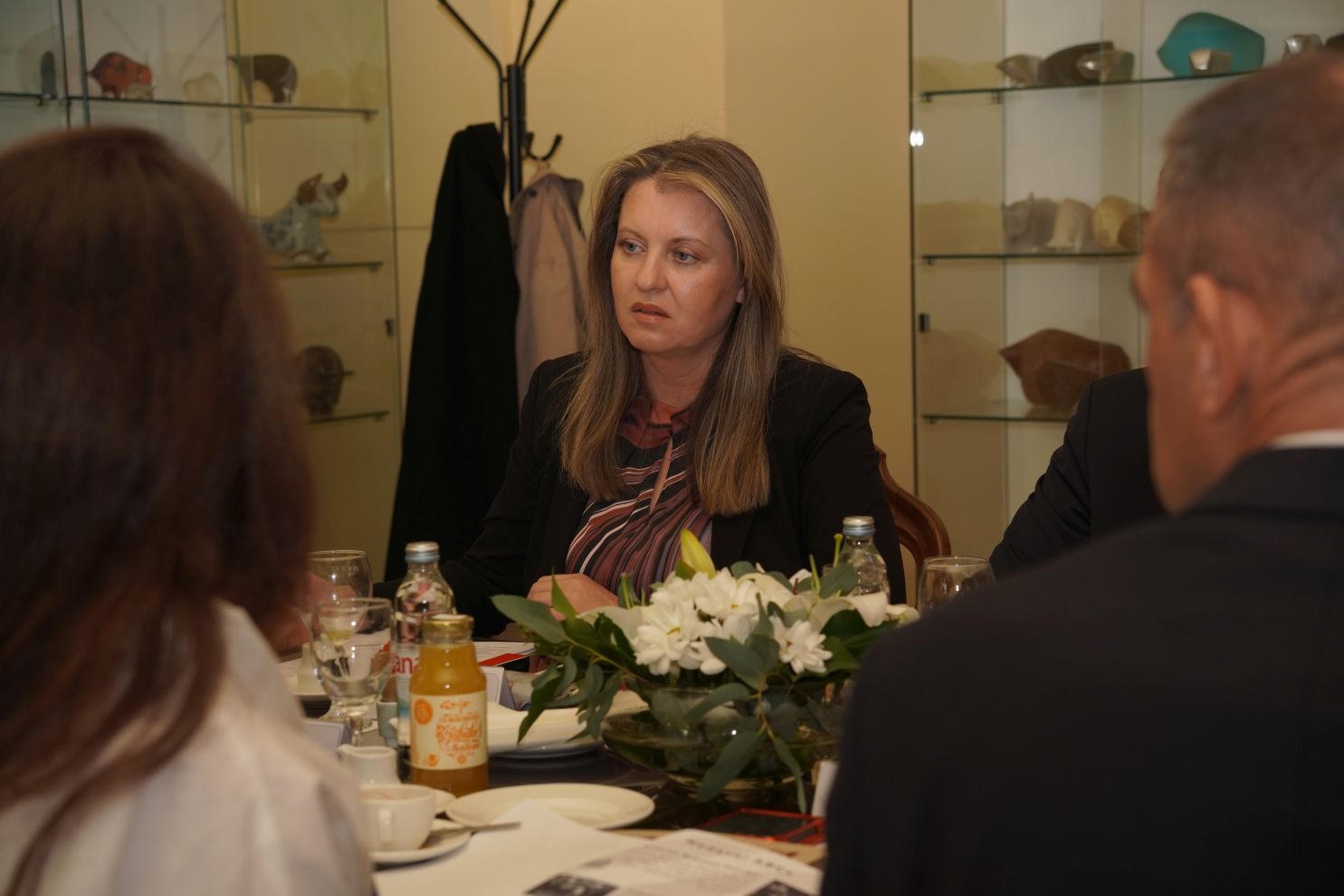 Posjet austrijske veleposlanice Međimurskoj županiji (6)