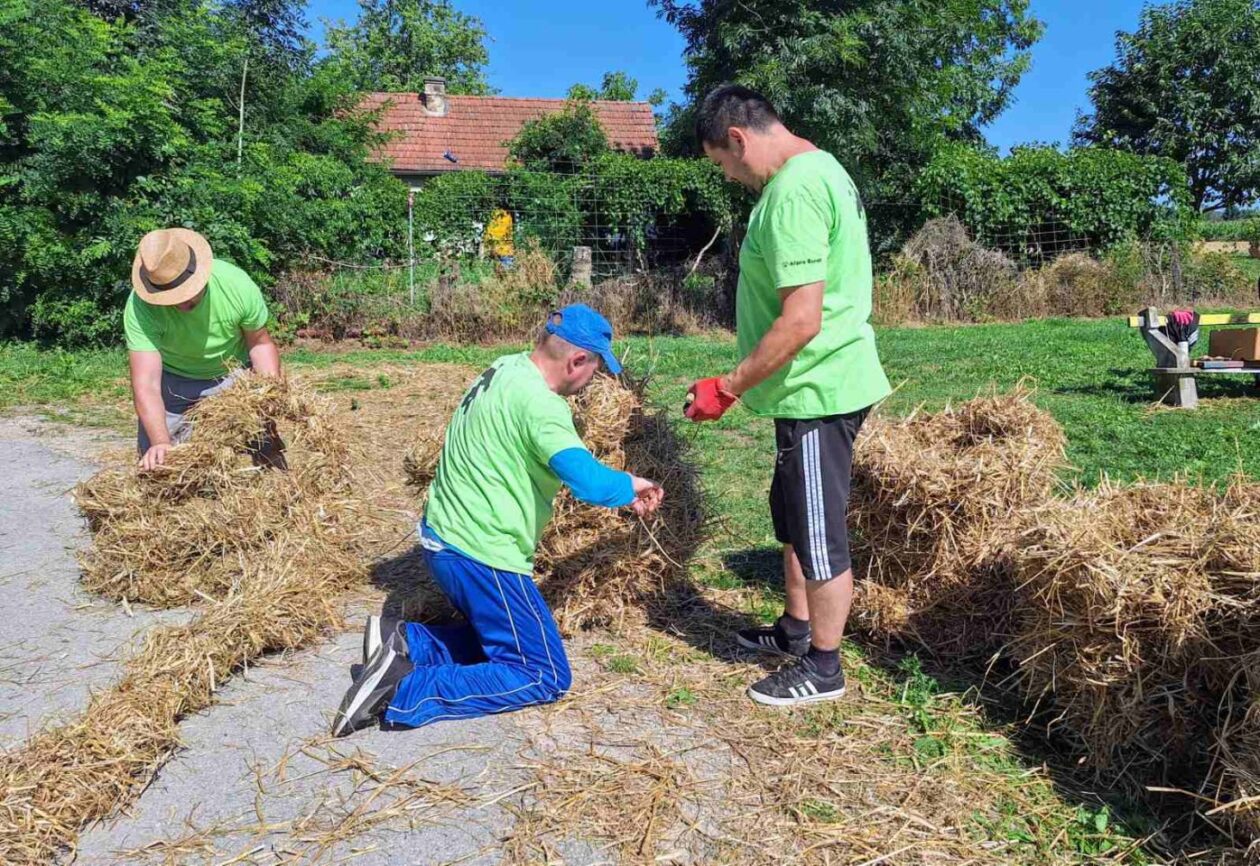 Postavljanje Pikača u Selnici (1)