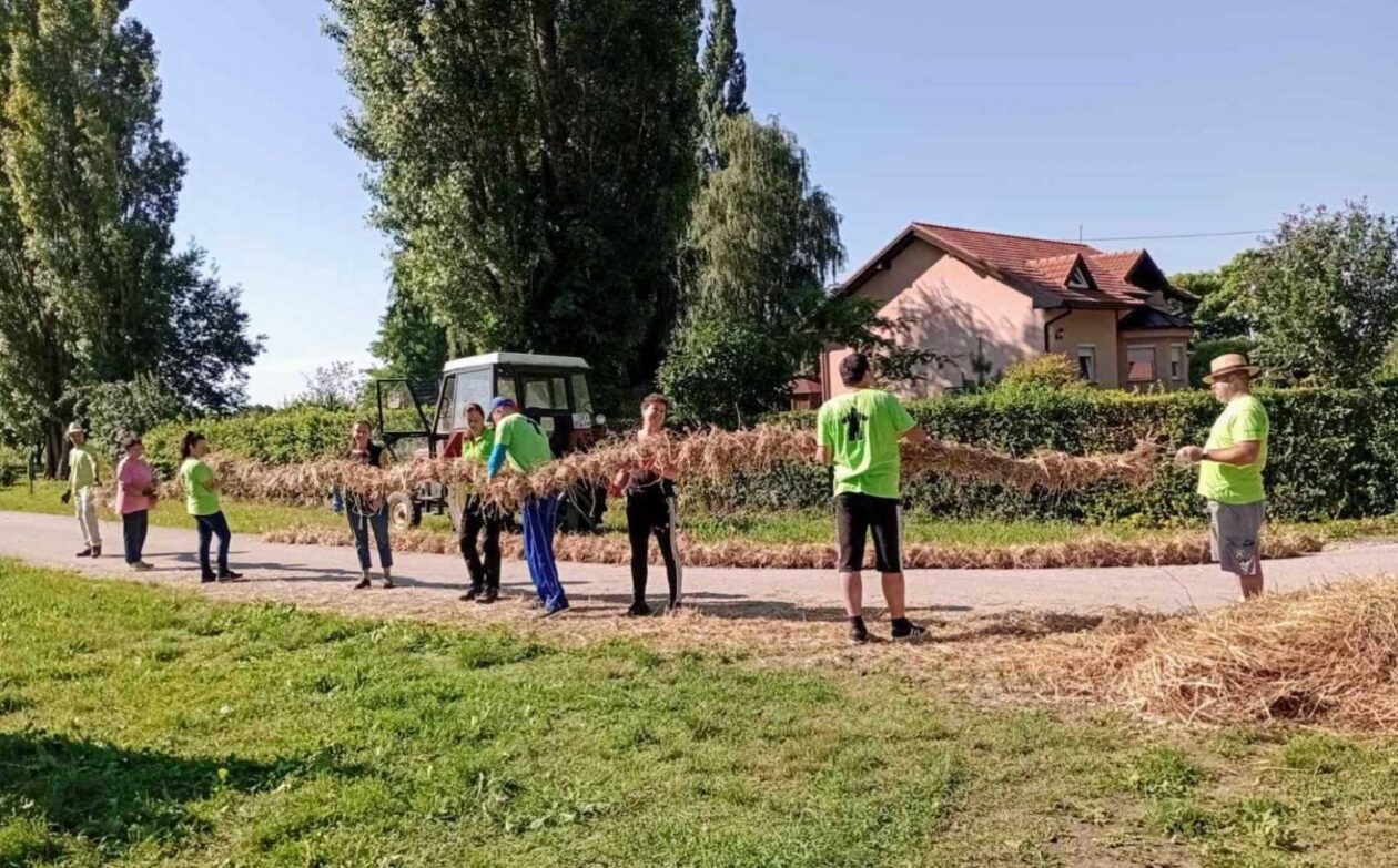 Postavljanje Pikača u Selnici (2)